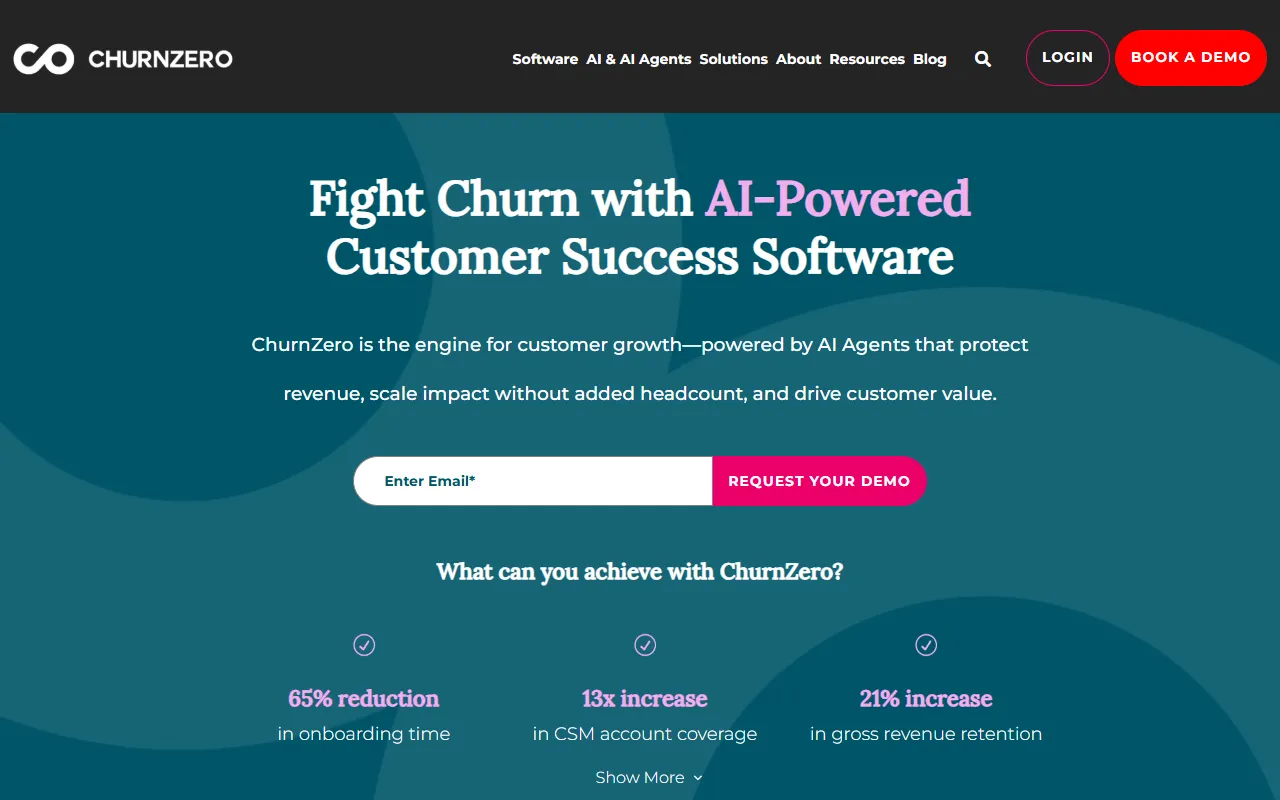 Screenshot of ChurnZero customer success platform